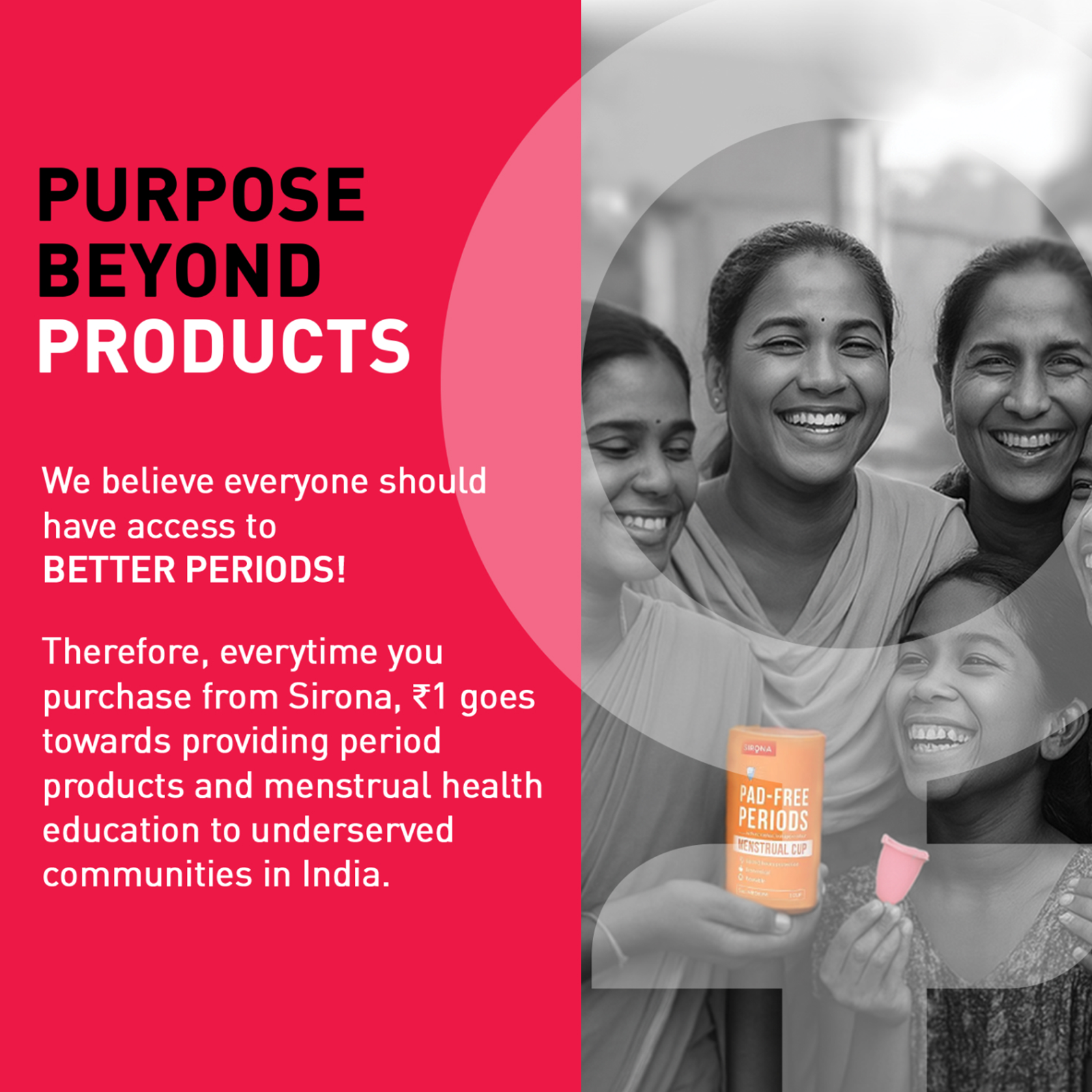 Disposable Period Panties for Women