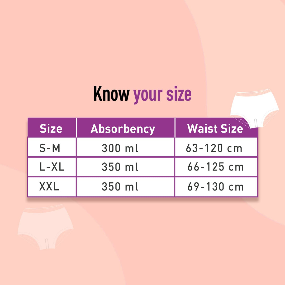 Disposable Period Panty L-XL (Pack of 2)